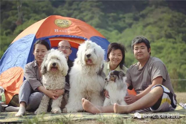 欧帝亿助力China Dog Day 百名宠友露营狂欢节